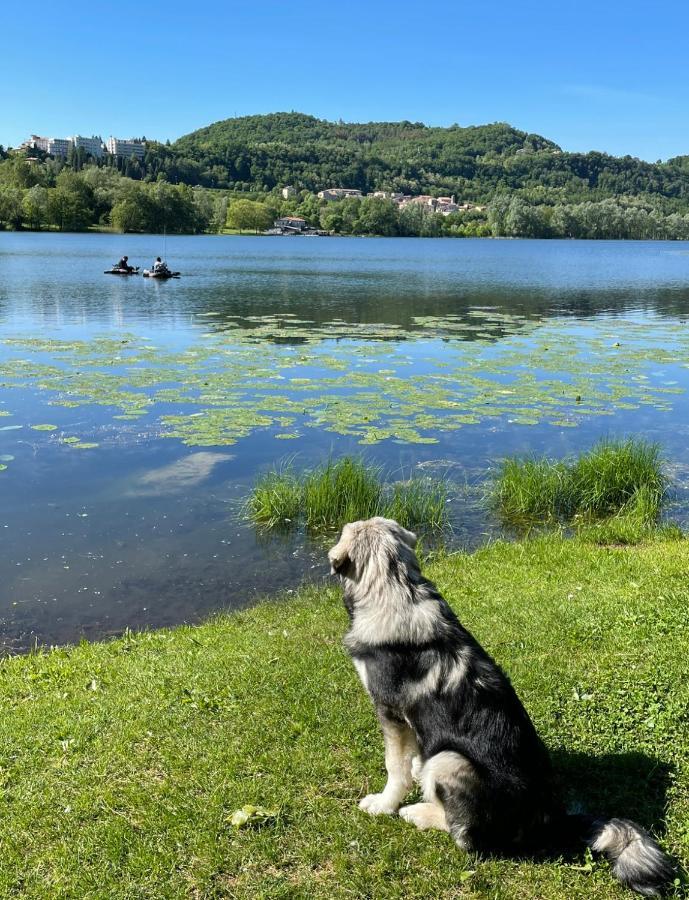 Altravista Tarzo Villa Revine Lago Eksteriør bilde